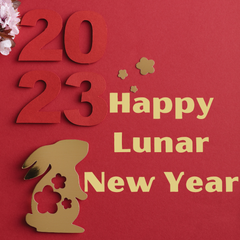 Collection image for: Lunar New Year Gifts