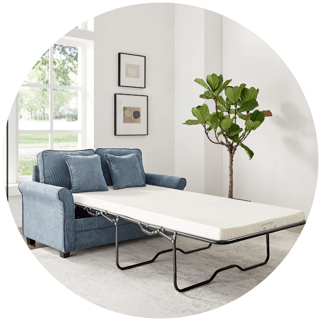 Sofa Beds - Bargainia.com