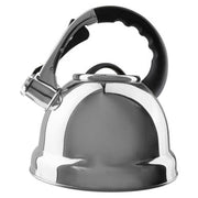 Zion Mirrored 3.2 Ltr Whistling Kettle