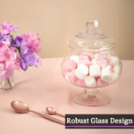 Olivia Clear Glass Candy Small Storage Jar
