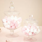 Olivia Clear Glass Candy Large Storage Jar