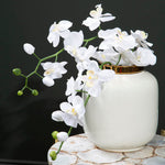 Stellar Metallic Vase