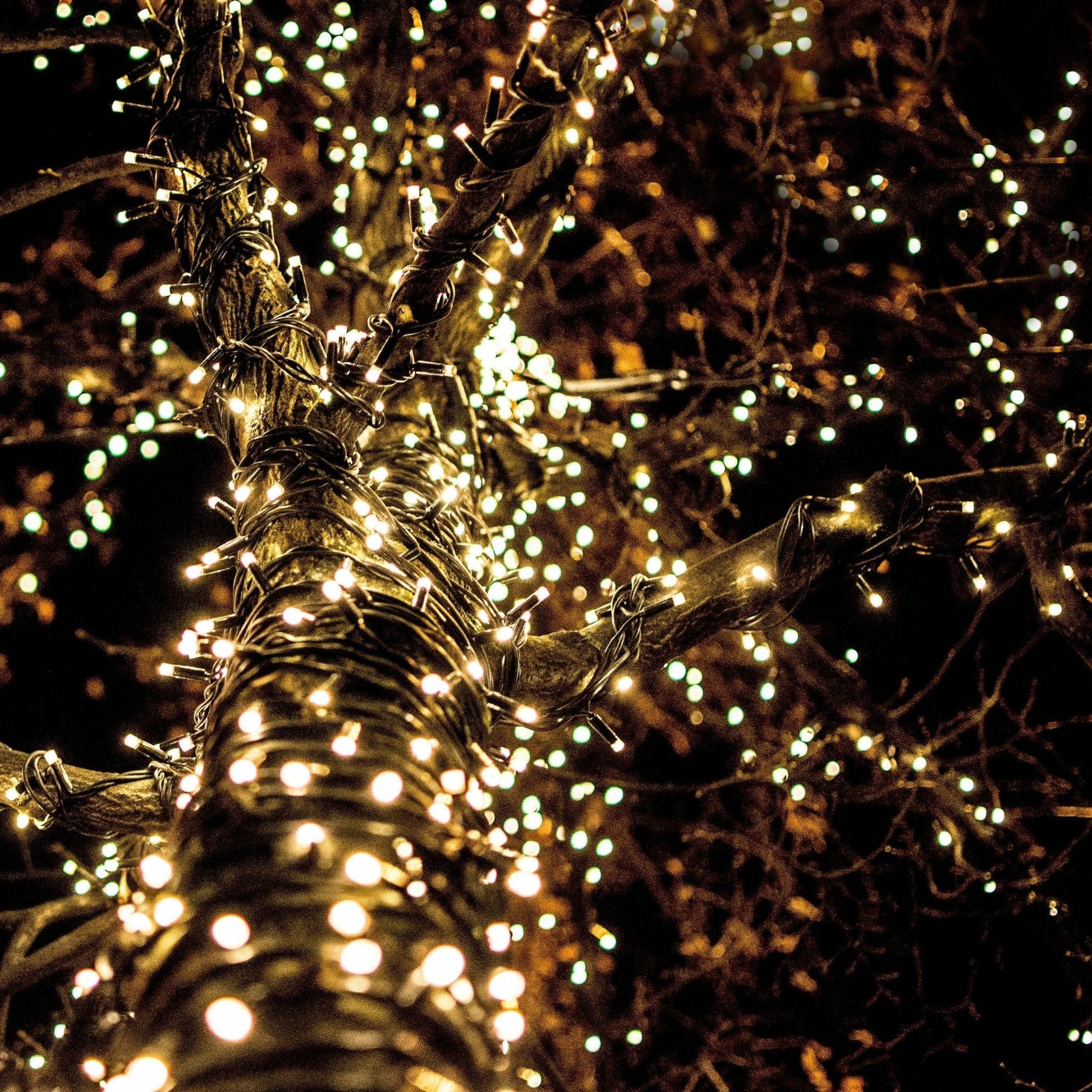 1440 LED Cluster Lights Indoor/Outdoor - Warm White - 18m Lighting Clearance