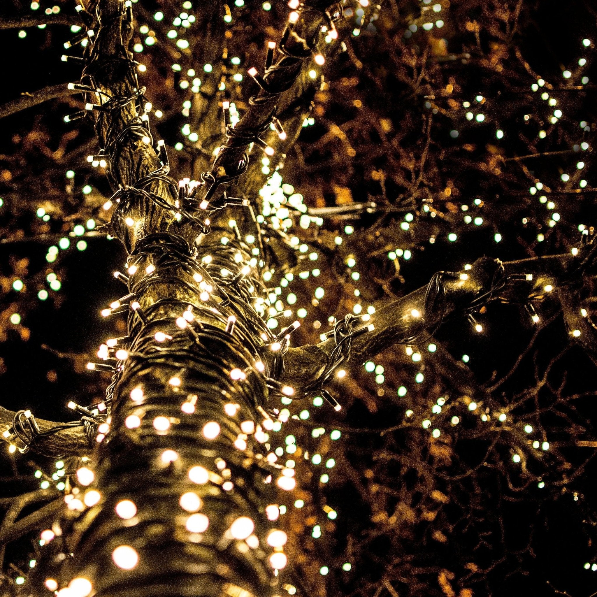 1440 LED Cluster Lights Indoor/Outdoor - Warm White - 18m Lighting Clearance