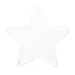 Neon Star White Light