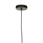 Leni Black Matte Iron Pendant Light