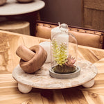 Fiori Small Succulent Dome With Cement Base