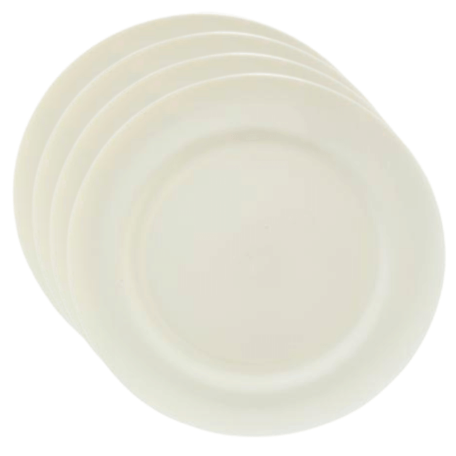 Plastic Picnic Plates Pack of 4-Bargainia.com