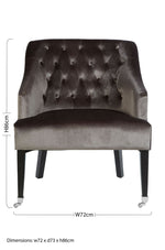 Darwin Grey Velvet Chair