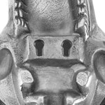 Zania Wall Mounted Skull