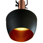 Argo Medium Pendant Light in Black and Copper