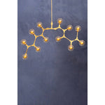 Abira 12 Arm Gold Finish Pendant Light