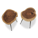 Nandri Set Of 2 Acacia Wood Side Tables