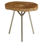 Relic Medium Petrified Wood Side Table
