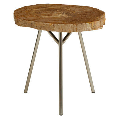 Relic Medium Petrified Wood Side Table