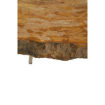 Relic Medium Petrified Wood Side Table