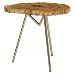 Relic Large Petrified Wood Side Table