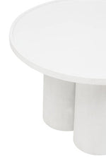 Walsa Whitewash Mango Wood Column Detail Coffee Table