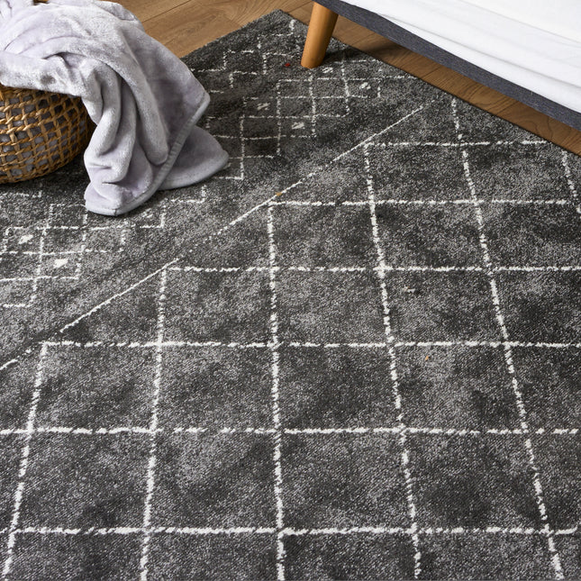 Grey Modern Friese Boho Rug - Lucca