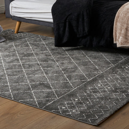 Grey Modern Friese Boho Rug - Lucca