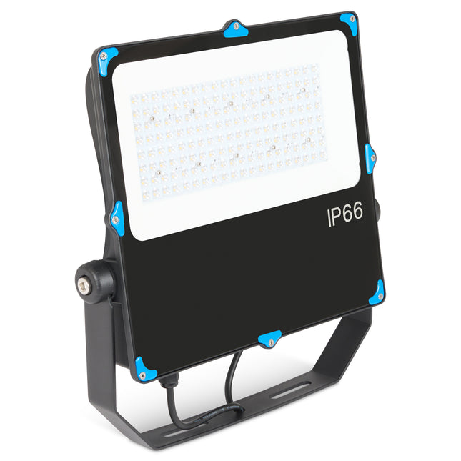 Hilclaire 100W LED Floodlight-Bargainia.com