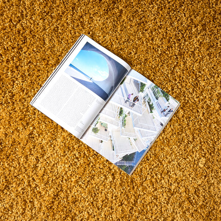 Golden Ochre Thick Shaggy Rug - California