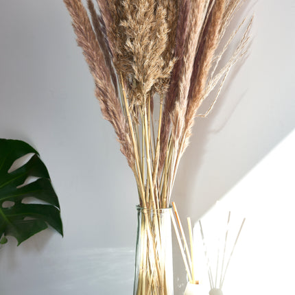 Dried Pampas Grass In Glass Vase - 72cm-8720719339209-Bargainia.com