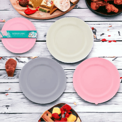 Plastic Picnic Plates Pack of 4-Bargainia.com