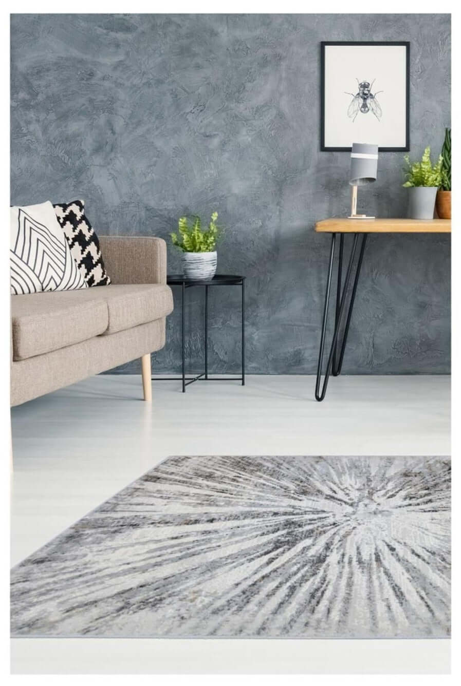 Abstract Burst Grey Rug | D149A - Bargainia.com - 
