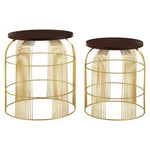 Agra Set Of 2 Side Tables In Mango Wood And Brass Finish - Bargainia.com - 5018705443577