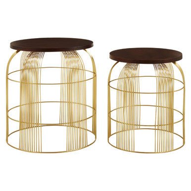 Agra Set Of 2 Side Tables In Mango Wood And Brass Finish - Bargainia.com - 5018705443577