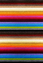 Alya Striped Multicolour Rugs | 117M - Bargainia.com - 