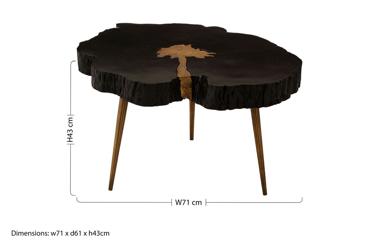 Asamra Black And Gold Coffee Table - Bargainia.com - 5018705451350