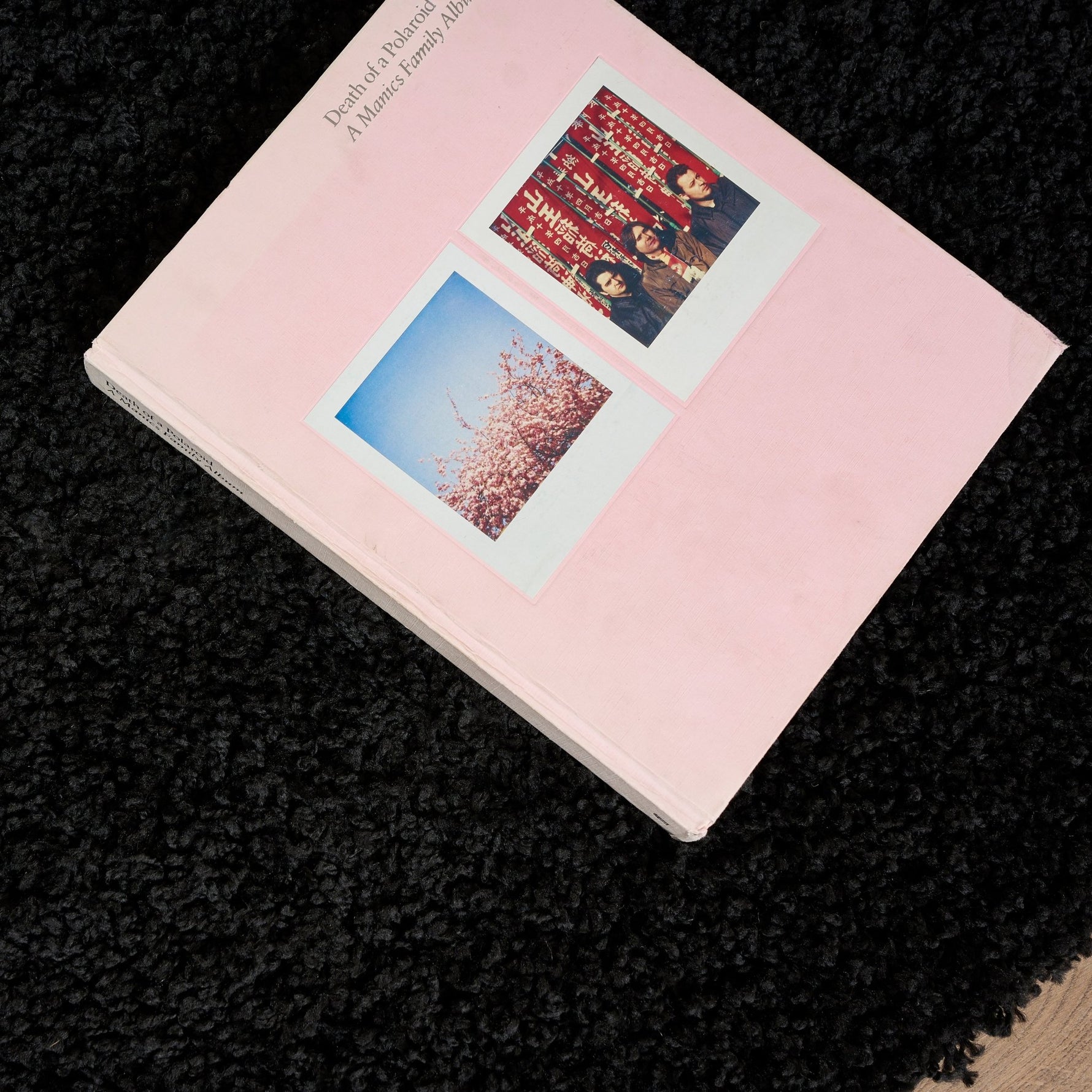 Black Thick Shaggy Rug - California - Bargainia.com - 