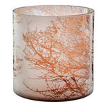 Branch Large Glass Hurricane Candle Holder - Bargainia.com - 5018705426402