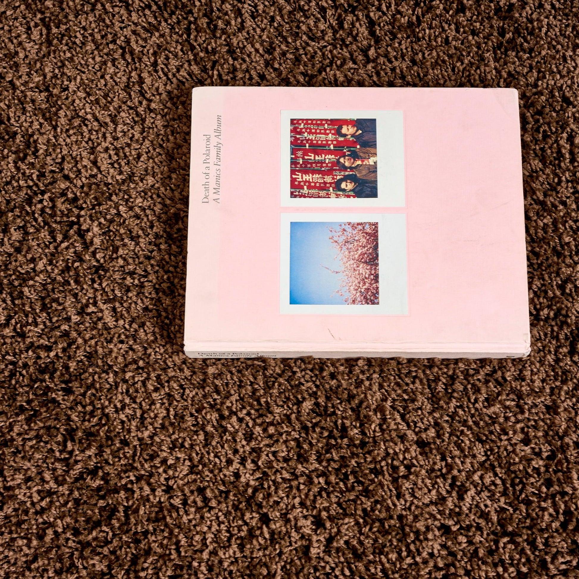 Brown Thick Shaggy Rug - California Rugs Rug Masters