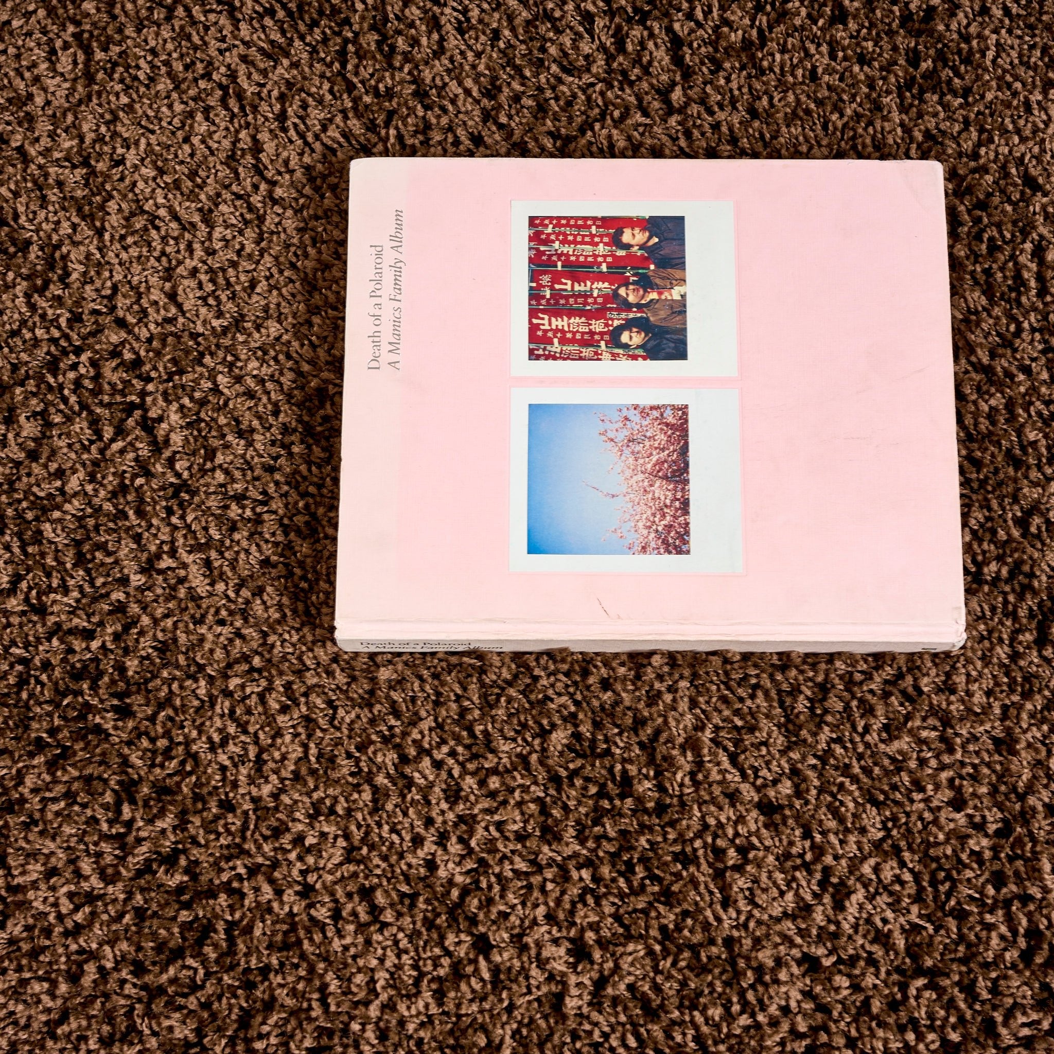 Brown Thick Shaggy Rug - California Rugs Rug Masters