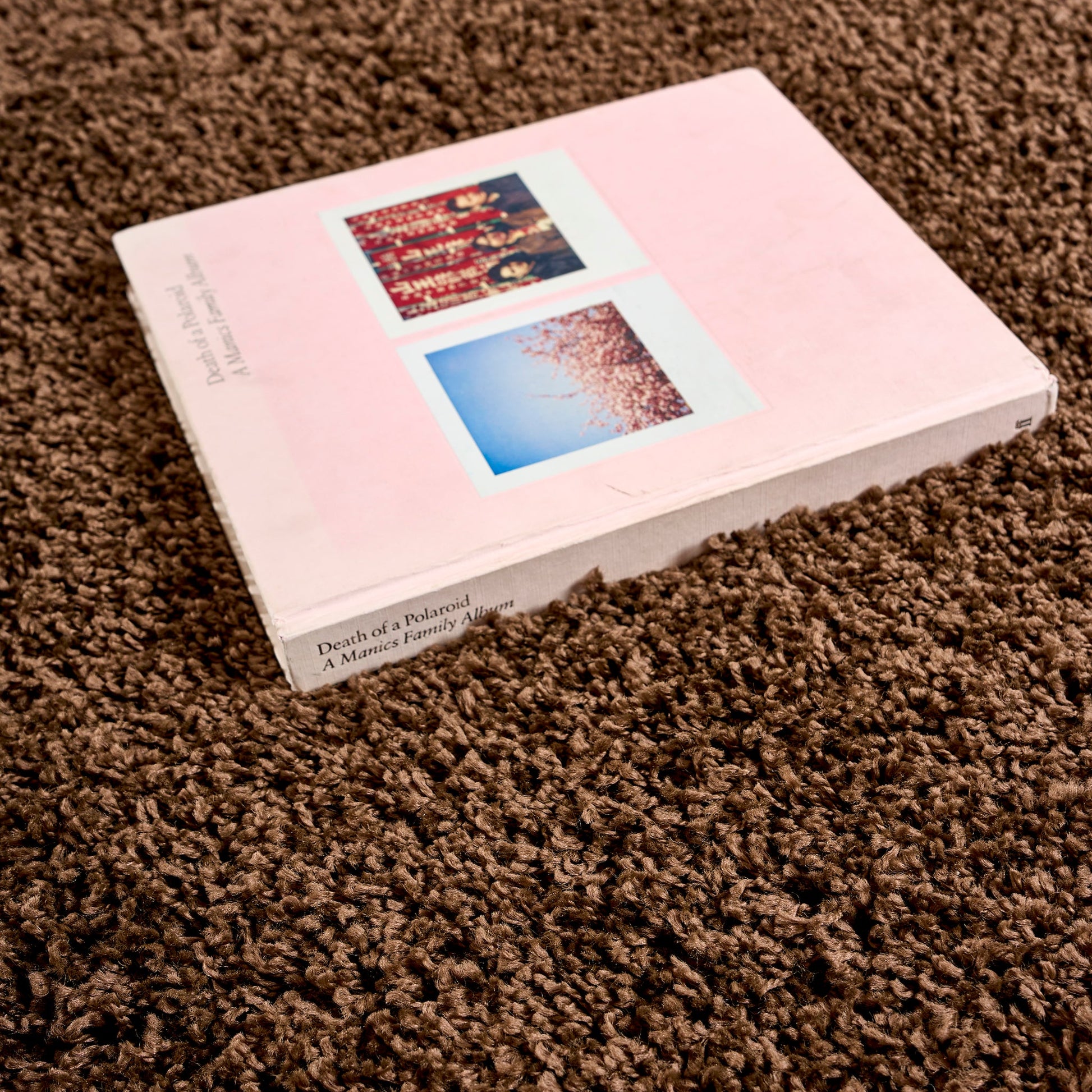 Brown Thick Shaggy Rug - California Rugs Rug Masters