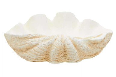 Byron Large Clam Shell Bowl - Bargainia.com - 5018705999081