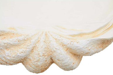 Byron Large Clam Shell Bowl - Bargainia.com - 5018705999081