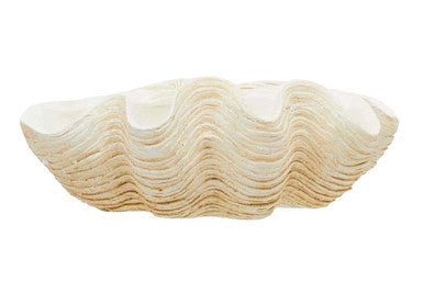 Byron Large Clam Shell Bowl - Bargainia.com - 5018705999081