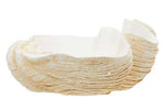 Byron Large Clam Shell Bowl - Bargainia.com - 5018705999081