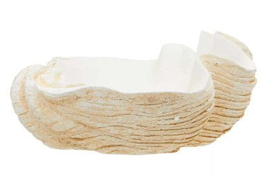 Byron Large Clam Shell Bowl - Bargainia.com - 5018705999081