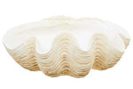 Byron Large Clam Shell Bowl - Bargainia.com - 5018705999081