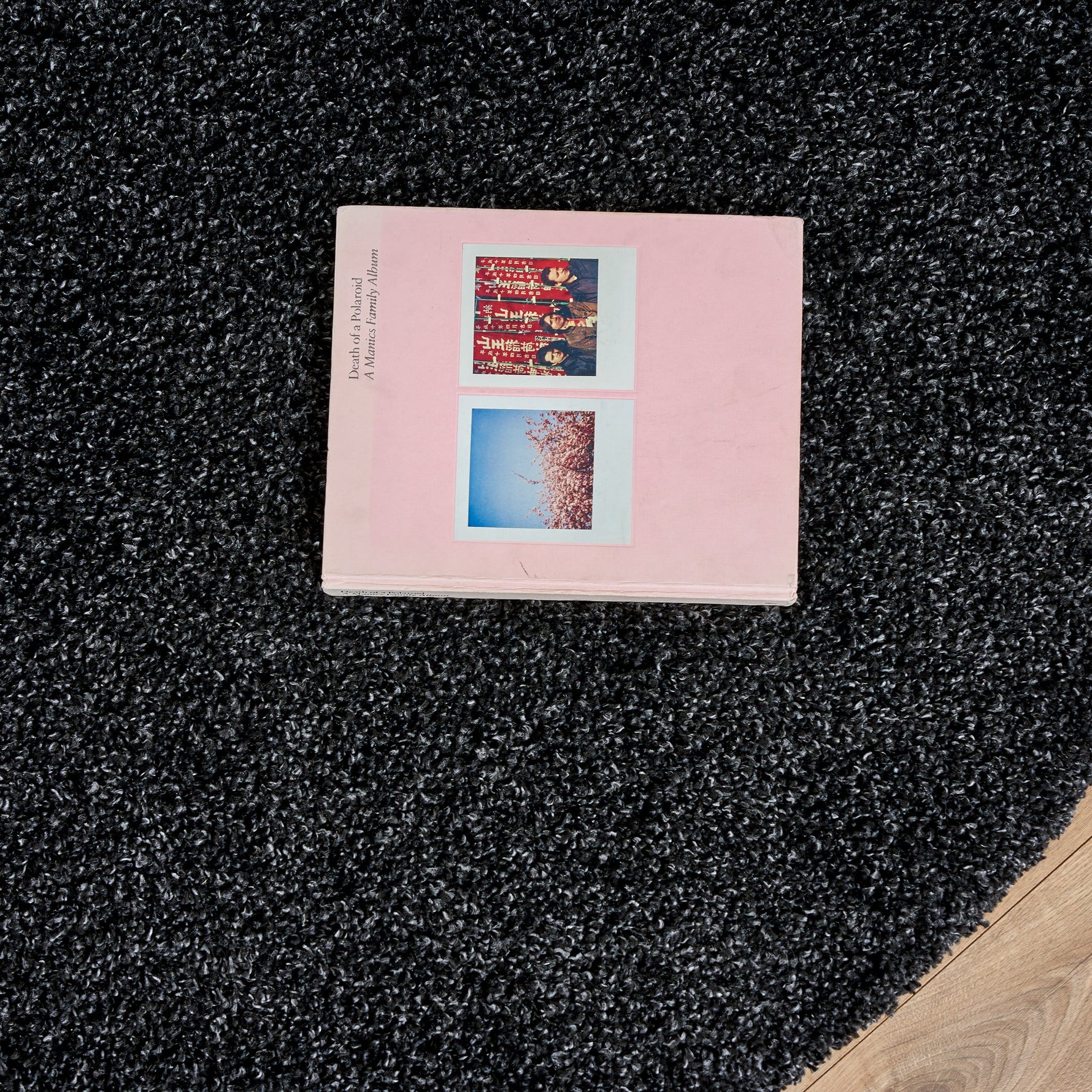 Charcoal Thick Shaggy Rug - California - Bargainia.com - 