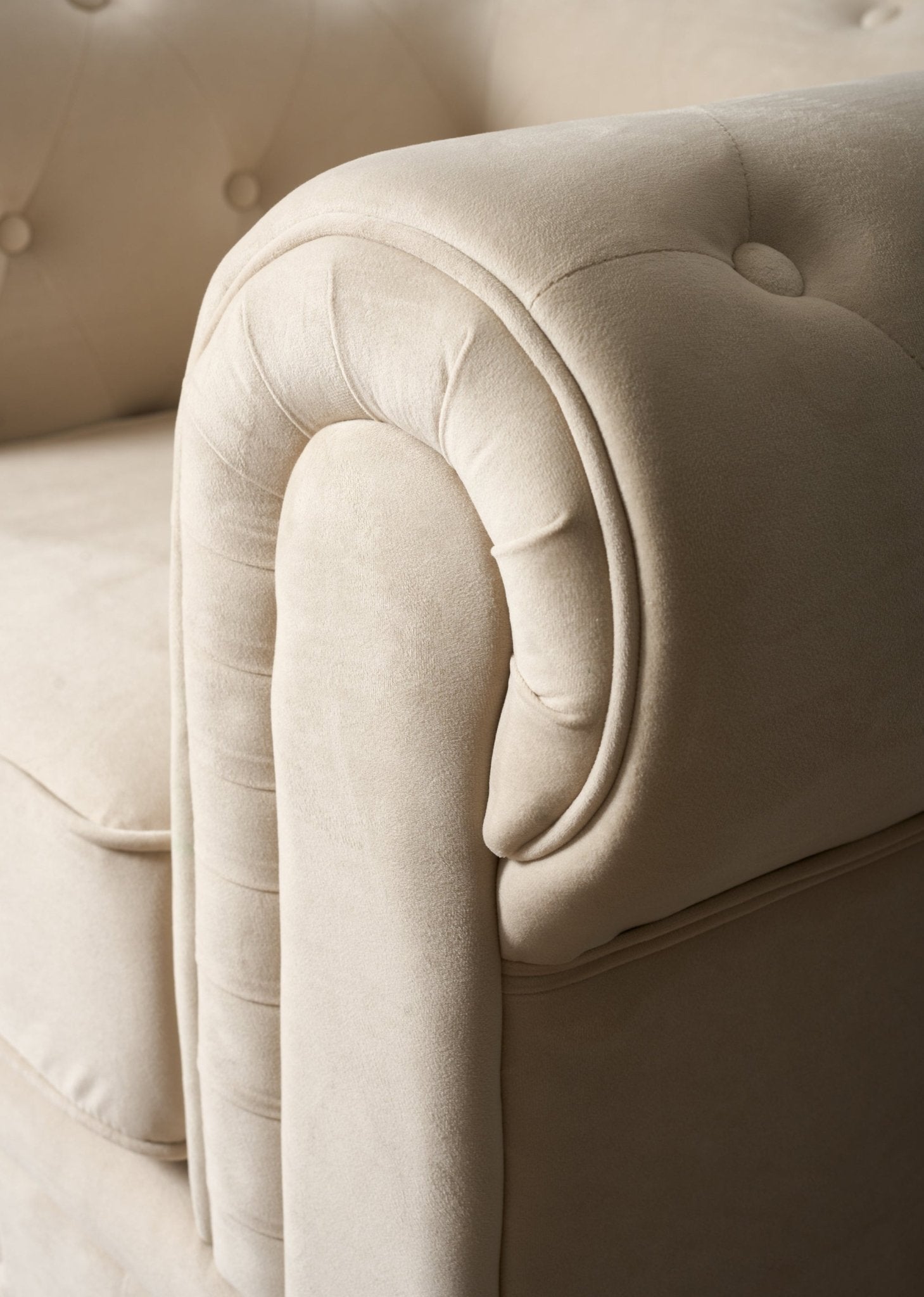Chesterfield Velvet Armchair - Cream Furniture Bargainia