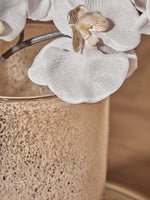 Chiara Medium Natural Sand Effect Vase - Bargainia.com - 5018705972190