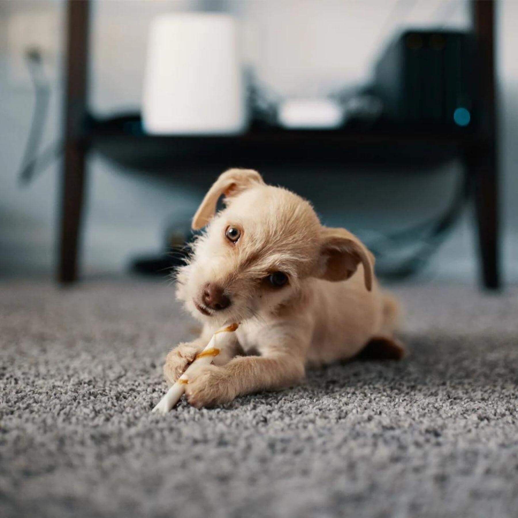 Chicago Grey Shaggy Rug - Bargainia.com - 5026134019140 - CHICAG_NEWGRY_090X150