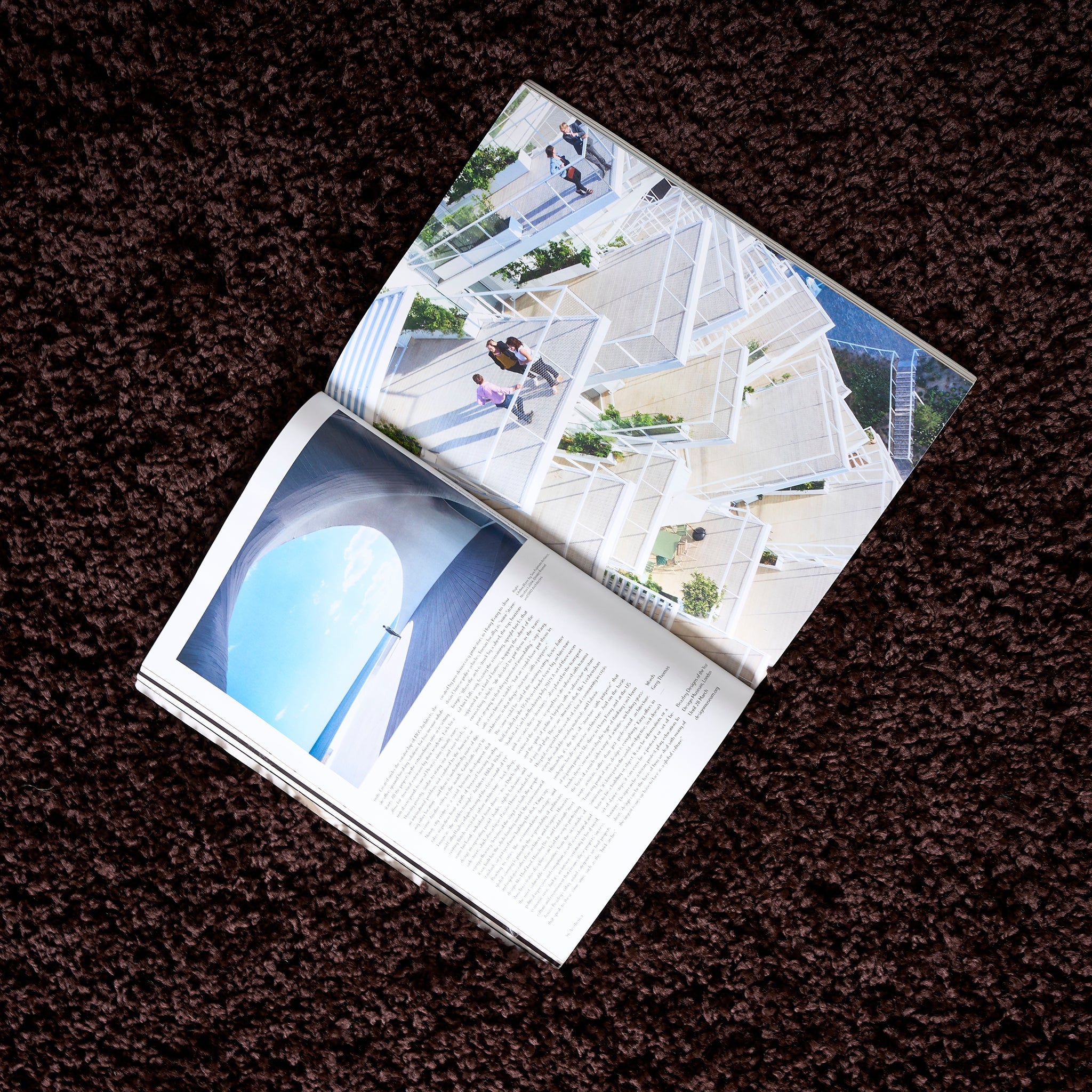 Chocolate Brown Thick Shaggy Rug - California Rugs Rug Masters