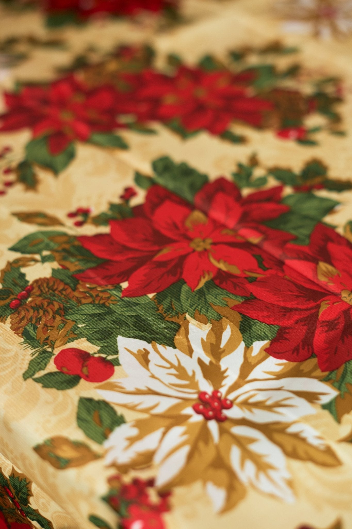 Christmas Table Cloth - Cream & Red Poinsettias - 152 × 224cm - Bargainia.com - 5056150211914 - 92285 - 6088 - K